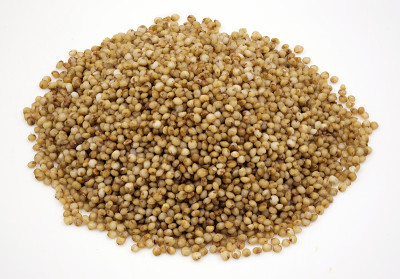Close-up of kodo millet grains on a  white backgro