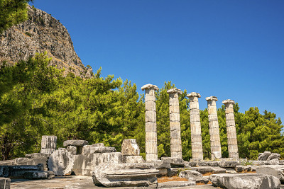 从普里埃尼的风景，Güllübahçe, Söke，土耳其