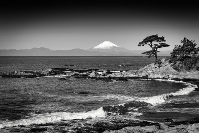 海岸