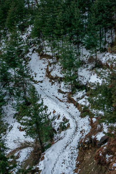 雪中的道路-雄伟的冬季景观在喜马拉雅山