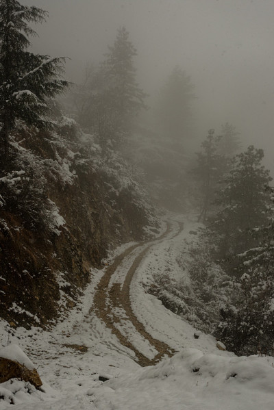 在喜马拉雅山脉。树和干草植物在雪中。白雪覆盖的山脉在模糊的背景中。