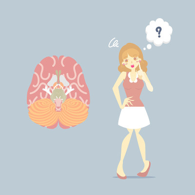 女性失忆与人脑、阿尔茨海默症、痴呆症状、保健理念、内脏器官解剖、身体部分神经系统有关