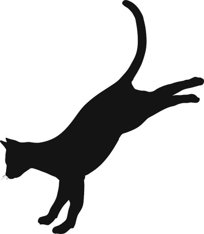 猫的轮廓