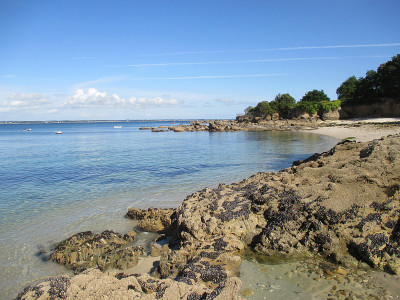岩石海岸