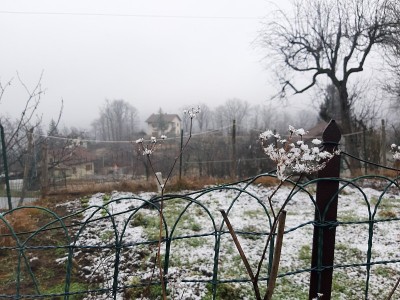 雪