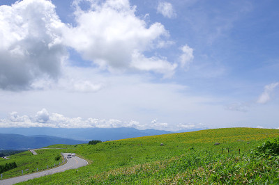 基里加明高原(金星线)