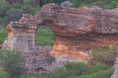 卡皮维拉Serra da Capivara的多叶Catinga