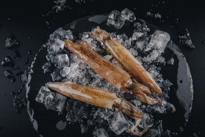新鲜生鱿鱼
