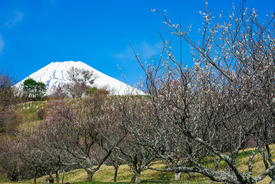 从须野市全景路到富士山