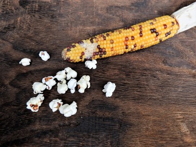 popcorn8