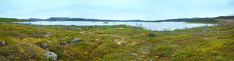 Tornetrask湖夏日景观(瑞典拉普兰)