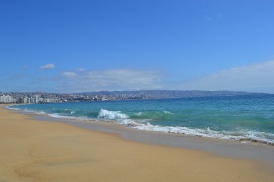 智利的Vina del Mar。