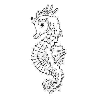 海马。手绘的海洋动物。海涂鸦。矢量插图孤立在白色背景
