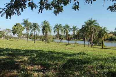 Icém的风景，一个城市在São保罗州的乡村边