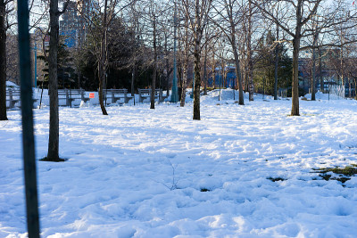 雪在纽约