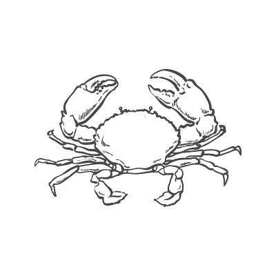 矢量素描卡通海小龙虾蟹孤立