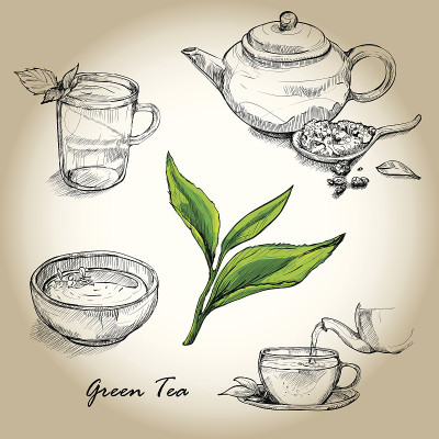 手绘草图矢量茶具