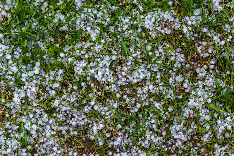 夏天的暴风雨过后，白色的冰冰雹落在绿色的草地上