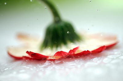 花抽象与落水滴