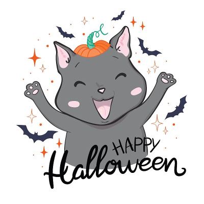 黑猫在万圣节的南瓜和鬼。背景是分开的。
