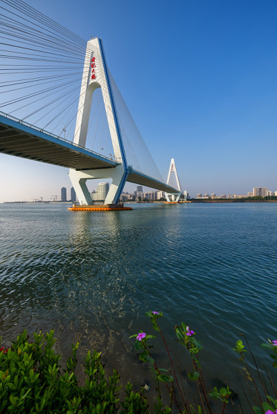 海口世纪桥中午