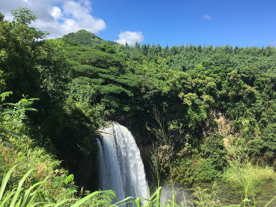 夏威夷考艾岛的怀卢阿瀑布。