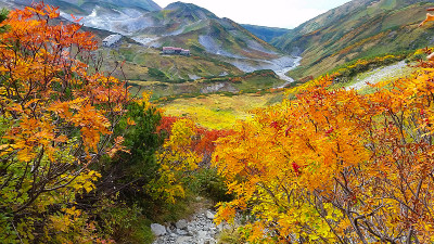 泰特山
