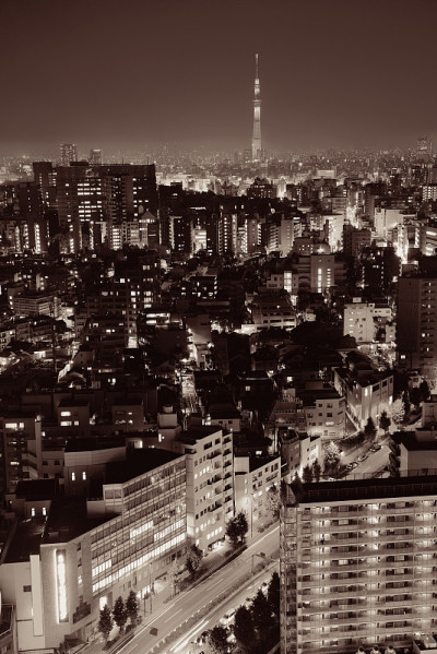 东京屋顶