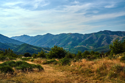 山口和山谷中