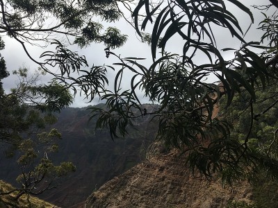冬天，夏威夷考艾岛威美亚峡谷的威浦瀑布。