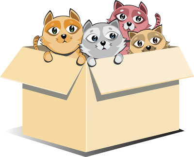 被遗弃的小猫在盒子里收养