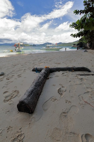 两棵棕榈树的树干在沙-库库尼翁洞海滩- el ndo - palawan - philippine 