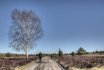 在Lüneburg荒地上的徒步旅行者在沙地小径上。