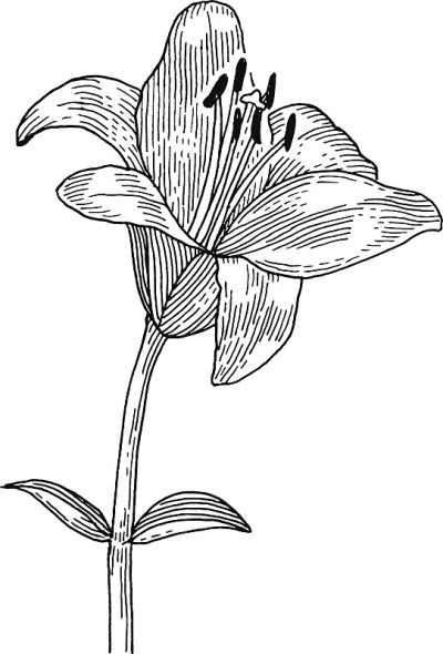 花