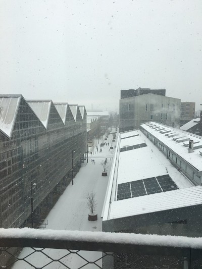 南特市被雪覆盖的屋顶