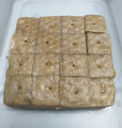 湿岩棉，水培植物的生长介质