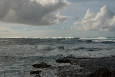 海龟湾,瓦胡岛