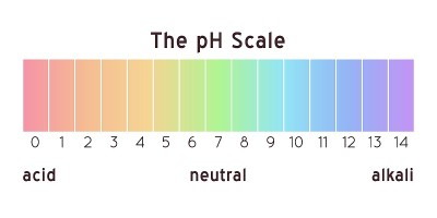 pH值范围图。彩虹矢量插图
