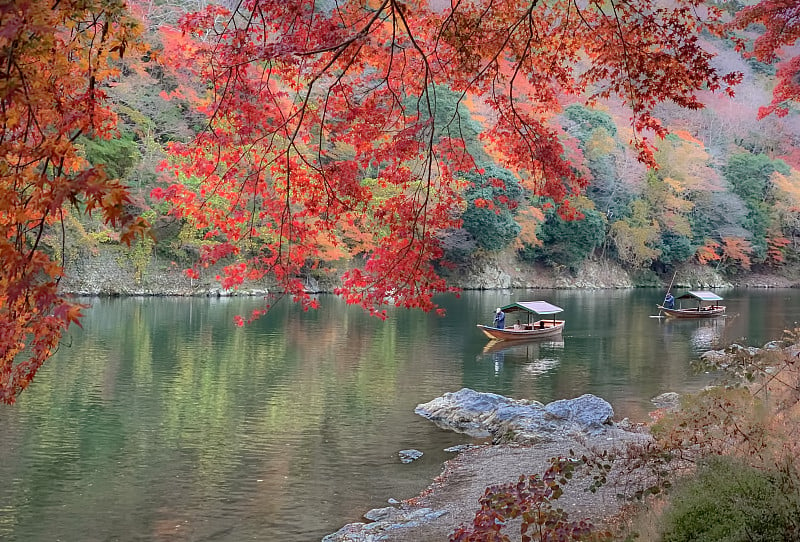 Roofed pleasure boat sailing under red maple trees