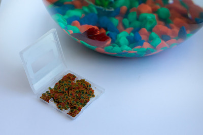 装在容器内的干鱼片，供饲养宠物用。水族馆