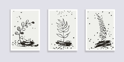 植物墙艺术向量集。极简抽象插图
