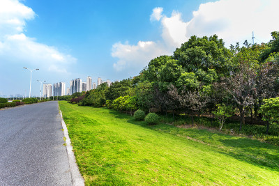 穿过花园的路