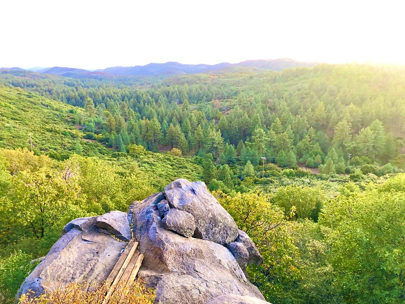 森林,岩石