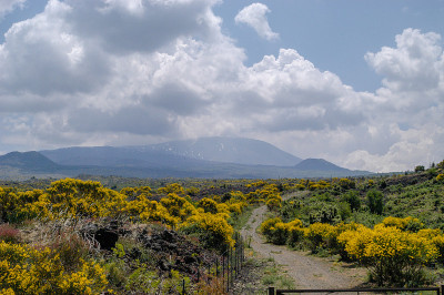 金斯特在去埃特纳火山的路上