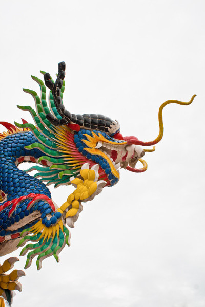 龙