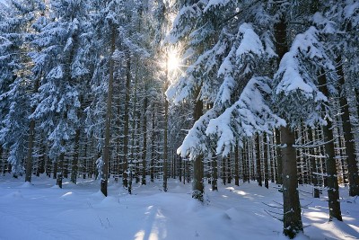图林根州冬天的雪景