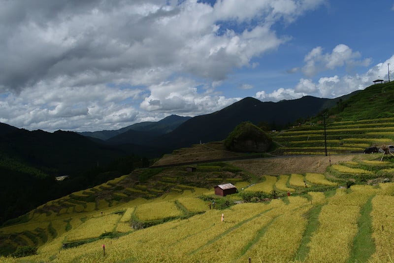 1000，平山市