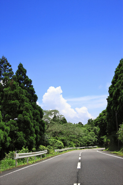 路