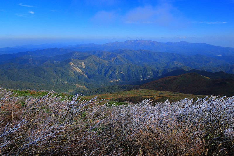 秋叶之山