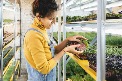 年轻的女农民在她的农场种植微型蔬菜。